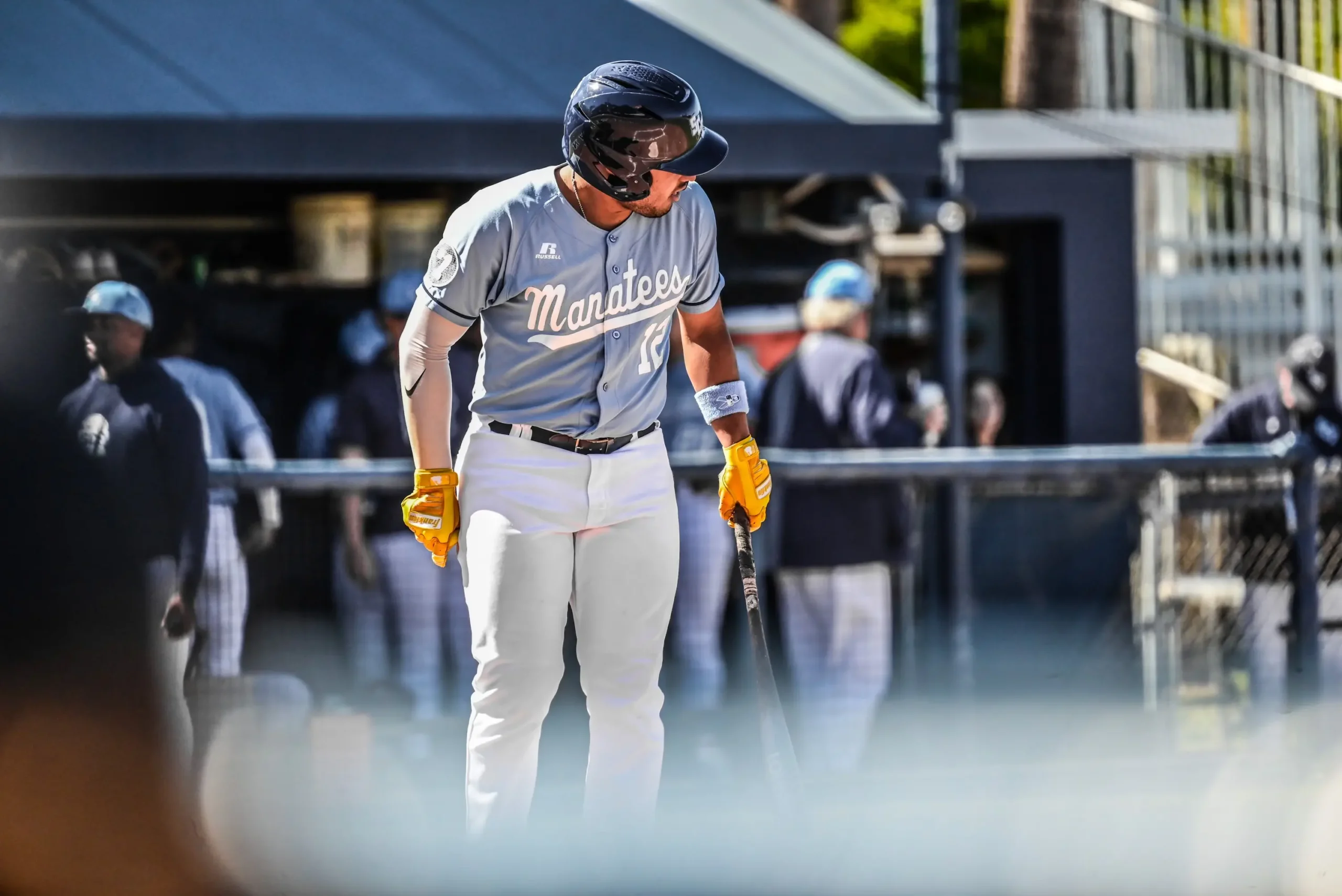 Santiago Ordonez from State College of Florida batting in the sports photography photo